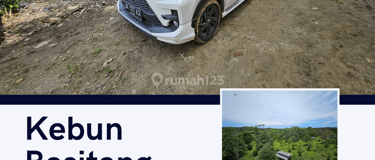 Jual Tanah Daerah Besitang Sekoci Di Kelilingi Kebun Sawit Langkat 1