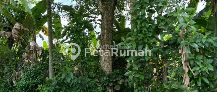 Tanah di Jalan Sidobakti, Deli Serdang SHM 47 are 1
