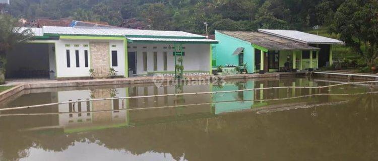 Rumah Dan Villa Cicalengka Dgn Kolam Ikan Luas Dekat Area Wisata 1