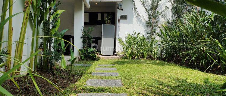 Three Bedrooms Villa At Umalas For Yearly Rent  1