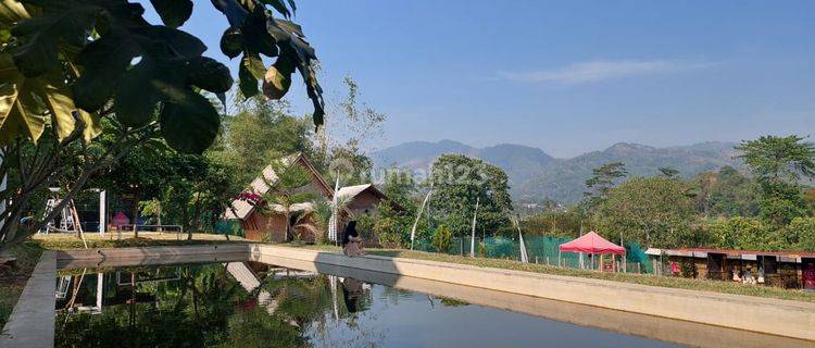 Villa + Tempat Wisata Murah di Bandung Ludologi Garden Banjaran 1