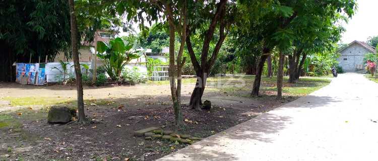 Tanah Rumah Di Sleman, Dp 130 Juta Bangunan Type 45 1
