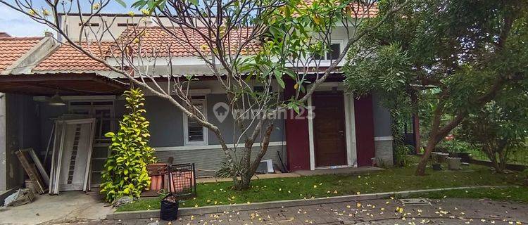 JARANG ADA RUMAH HOOK TATAR SUMBA BANGUNAN MASIH STANDAR MENYATU DENGAN TAMAN TATAR  1