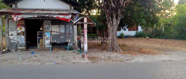 RUMAH DAN TANAH MURAH TENGAH KOTA KUPANG 1