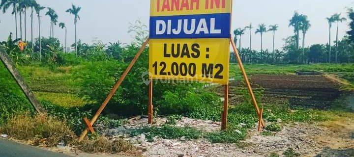 Dijual Tanah  Di Jl Alas Tua  Semanan Kalideres Jakarta Barat DKI JAKARTA  1