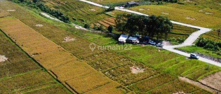 Buc Tanah Murah Di Canggu Bonus Emas Atam 1