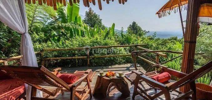 For Sale Hotel + Villas View Mountain Forest Glamping At Tabanan  1