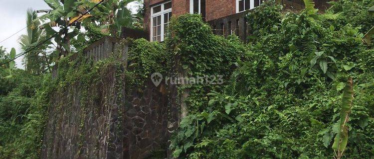 Jual Rumah Murah Semi Villa di Tabanan SHM 1