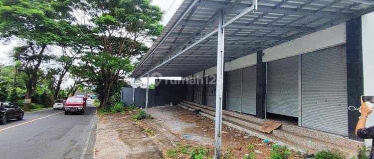 Spacious minimalist shophouse for sale in Baturiti 1