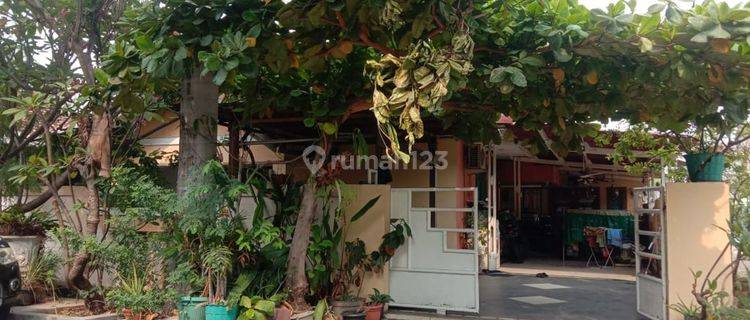 Rumah LT 265 SHM Siap KPR 5 Menit ke Ciputra Exchange Kemayoran  J27001 1