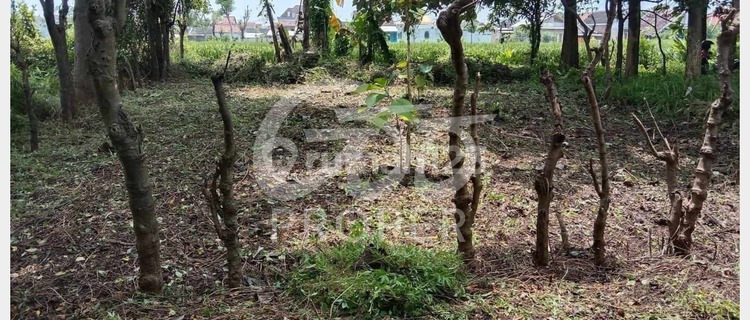 Jual Tanah 193 m2 Jl. Argopuro Barat Kademangan, Probolinggo 1
