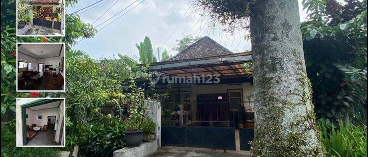 Jual Rumah Bagus di Jl. Mundu, Malang 1