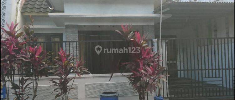 Rumah Sewa Unfurnished Bagus di Jl Arumdalu Malang Kota 1