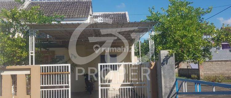 Rumah Bagus Dekat Bandara SHM di Rogojampi, Banyuwangi 1