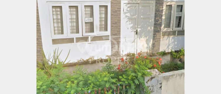 Jual Rumah Siap Huni di Jl. Garuda Daerah Wiradesa Pekalongan Jawa Tengah 1