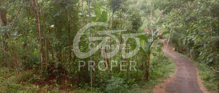 Tanah  Dijual Murah di Jl Doga Nglanggeran Patuk Gunung Kidul  1