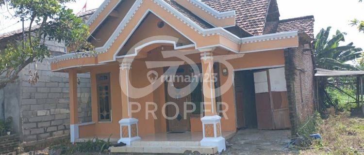 Rumah Siap Huni SHM di Desa Kedunglo Ngronggot, Nganjuk 1