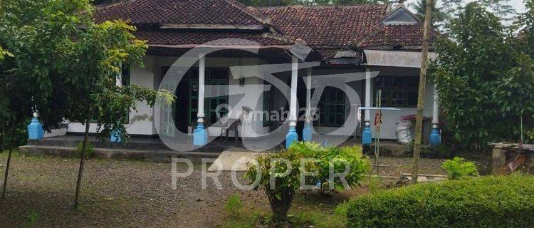 Rumah Jual Furnished SHM Jl. Blok Seger Tegalsari, Banyuwangi 1