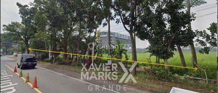 Dijual Tanah Murah Di Mojosari Kepanjen Malang 1