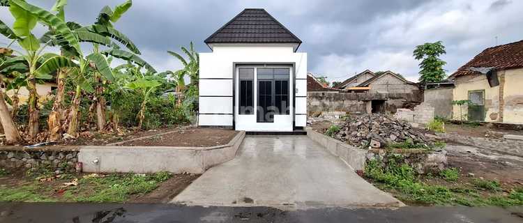 Cuma 200Jt-An! Punya Rumah Minimalis Legalitas SHM di Utara Prambanan 1