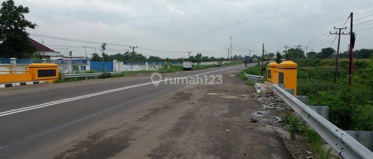 Kavling Cikande Bawah Njop Bagus Jalan Utamadekat Modern Cikande 1