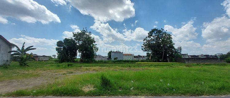 Utara Bandara Adisucipto View Sawah 1