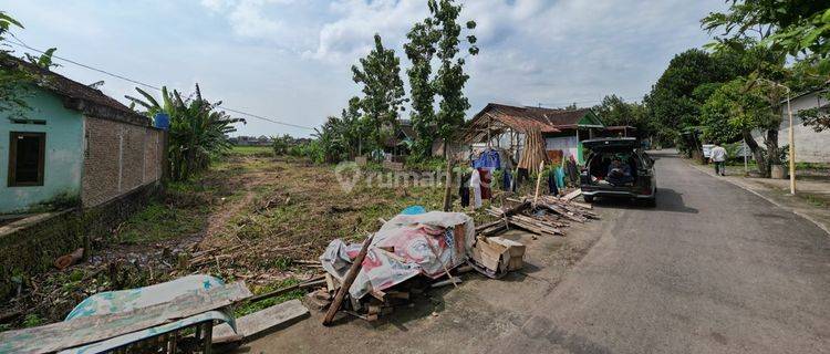 Pekarangan Tepi Jalan Dekat Kantor Kelurahan Wonokromo 1