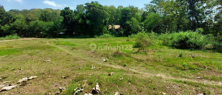 3 Menit Pemerintah Kalurahan Wonolelo Clsuter Prospek Hunian 1