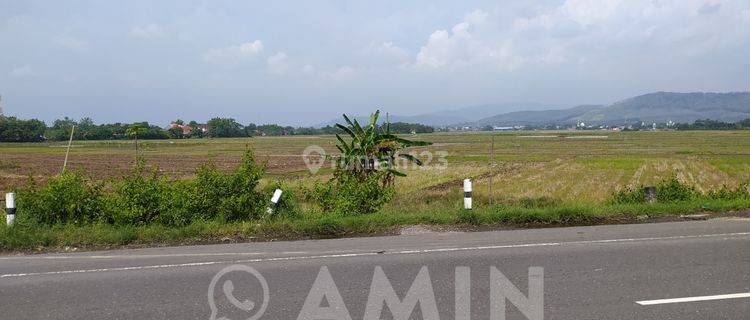 Tanah industri Weleri Kendal 1