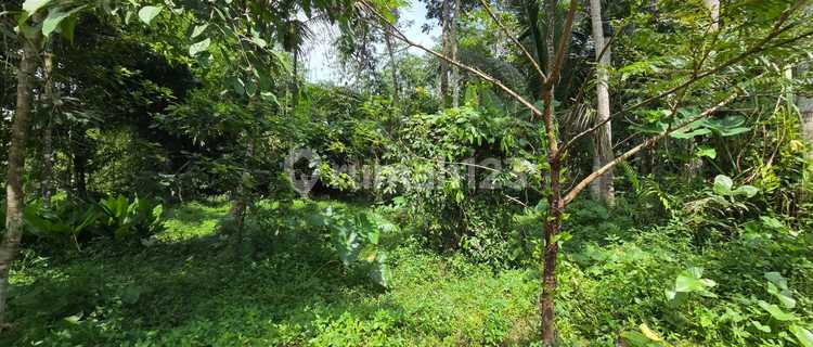 Ready-to-Use Large Land in Petet Gading Tuntang 1