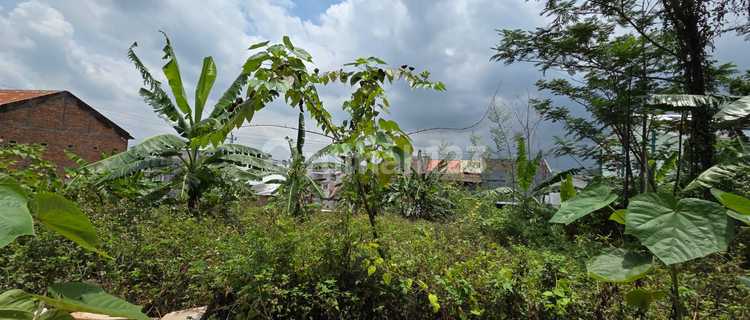 Cheap Land Plots for Sale Near Unimus in Sendang Asri, Semarang 1