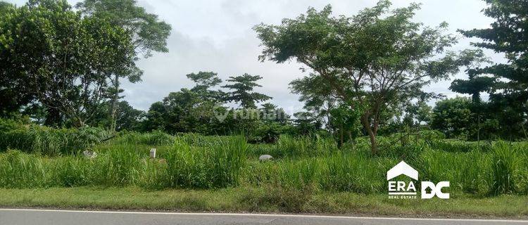 Tanah Murah Pinggir Jalan Lingkar Selatan Jawa Klirong Kebumen 1