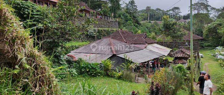 Rumah klasik dg pemandangan danau Beratan 1