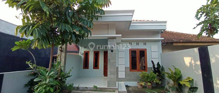 Disewa Rumah 3kt Dekat Umy Masih Nego 1