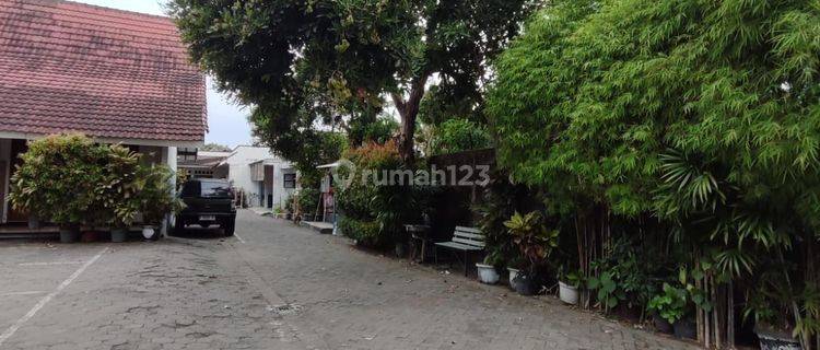 Hotel Bintang 1 SHM Area Maguwo Dekat Bandara Adisutjipto 1