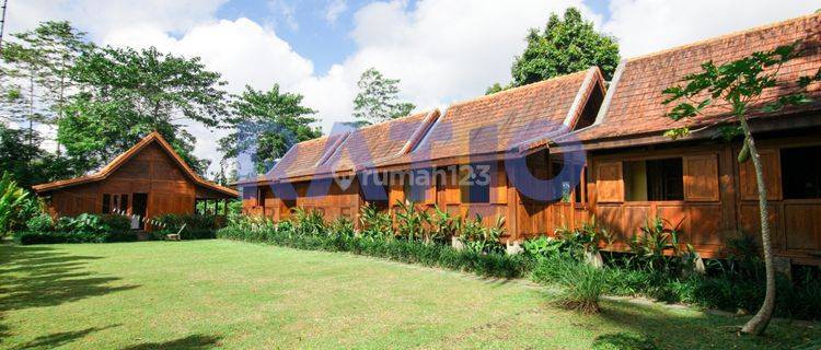 Villa Desain Kayu View Bukit, Di Payangan Bali 1