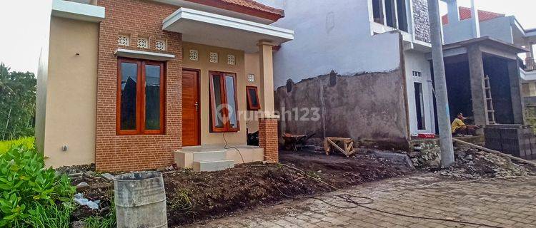 Rumah Dijual Murah Under 500juta Di Bitera Gianyar 1