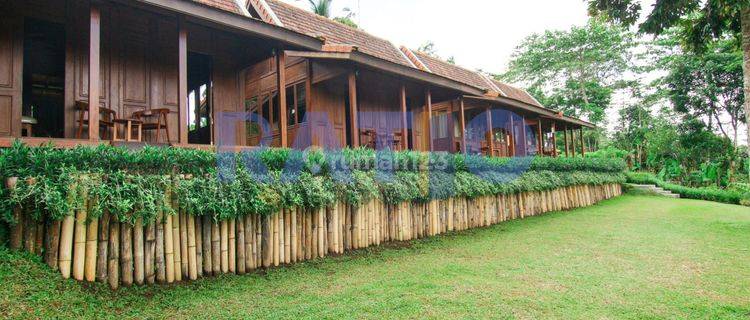 Penginapan Cantik, European Desain Dekat Ubud Bisa Kpr 1