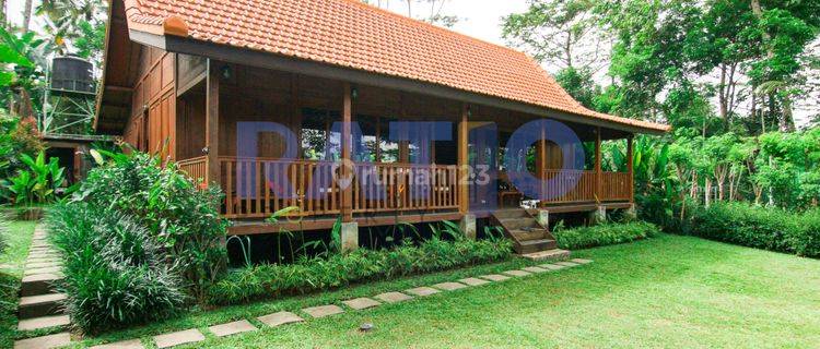 For Sale Penginapan Interior Kayu Di Payangan Bali 1