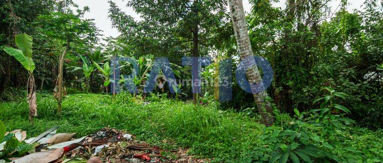 Leasehold 25th, Tanah Cocok Untuk Villa Di Ubud  1