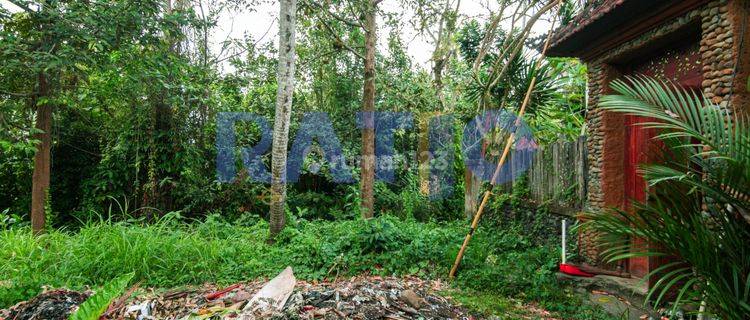 Investasi Tanah, 25 Tahun Hanya 800juta, Di Kawasan Villa Ubud 1