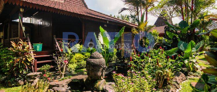 Long Leased Villa 10 Are Masih Beroperasi Di Ubud  1