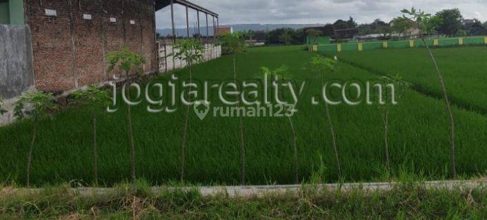 Murah Banget Dijual Tanah Sawah Strategis di Jetis Bantul jogja 1