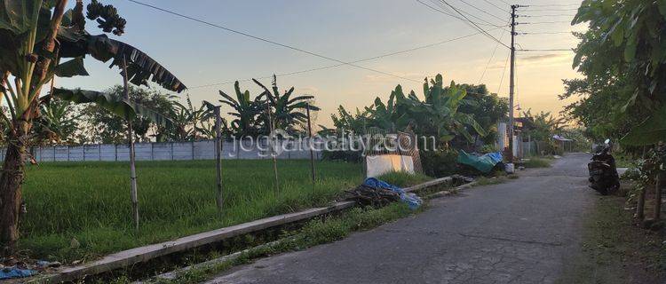 Dijual Tanah Sawah Cocok Untuk Perumahan Jl Imogiri Barat Bantul Yogyakarta  1