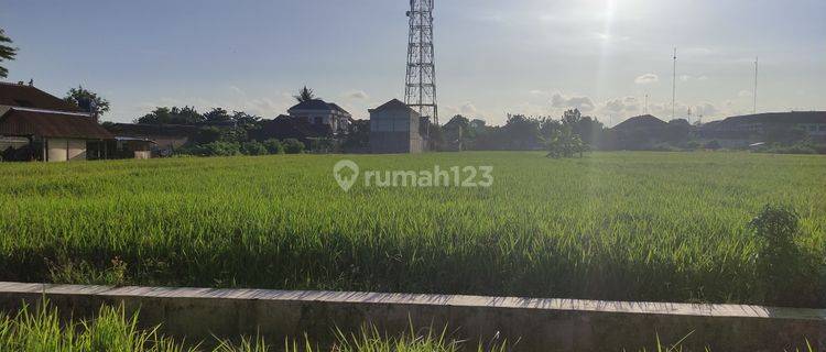 Dijual Cepat Sawah Strategis Istimewa di Trirenggo Bantul Jogja 1