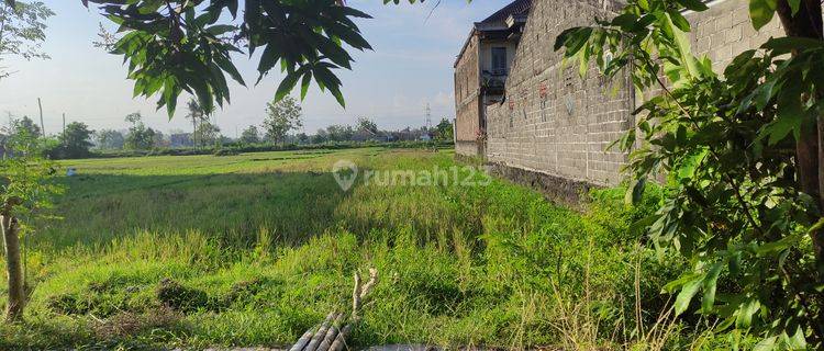 Tanah Dijual Cepat Murah Strategis di Trirenggo Bantul Yogyakarta 1