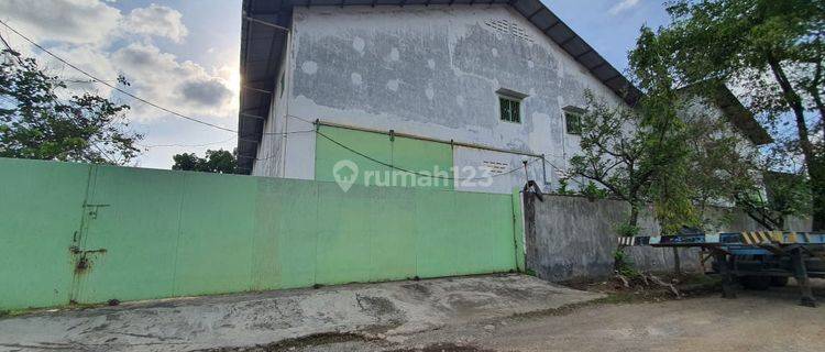Gudang Sewa Di Kawasan Parangloe Makassar 1