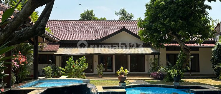 For Rent Charming and Comfortable House for Rent in the Kemang Area 1