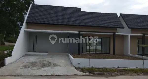 For Sale: Single-Story House with a Spacious Yard 1