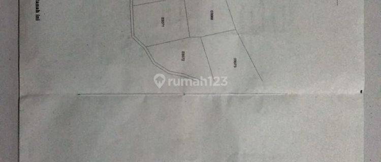 Tanah di Pekalongan 1000 m2 Dijual Murah 1